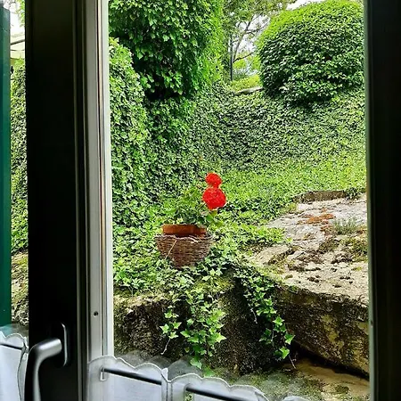 B&B degli Allori Moggiona Esterno foto