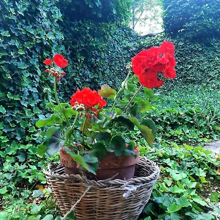 B&B degli Allori Moggiona Esterno foto