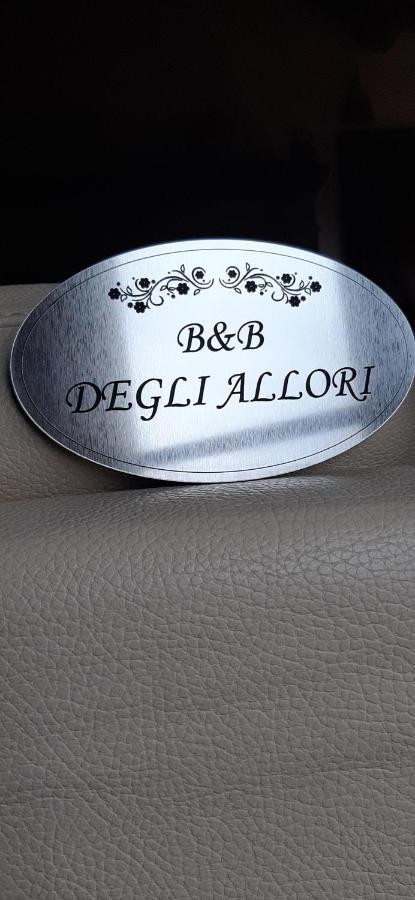 Degli Allori *