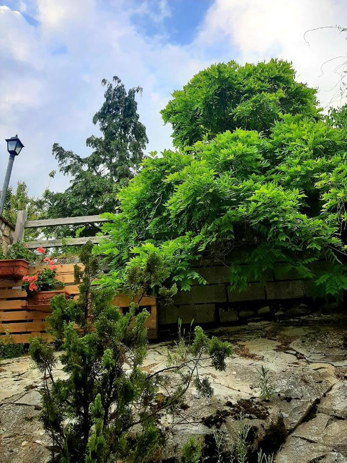 Bed & Breakfast Degli Allori *