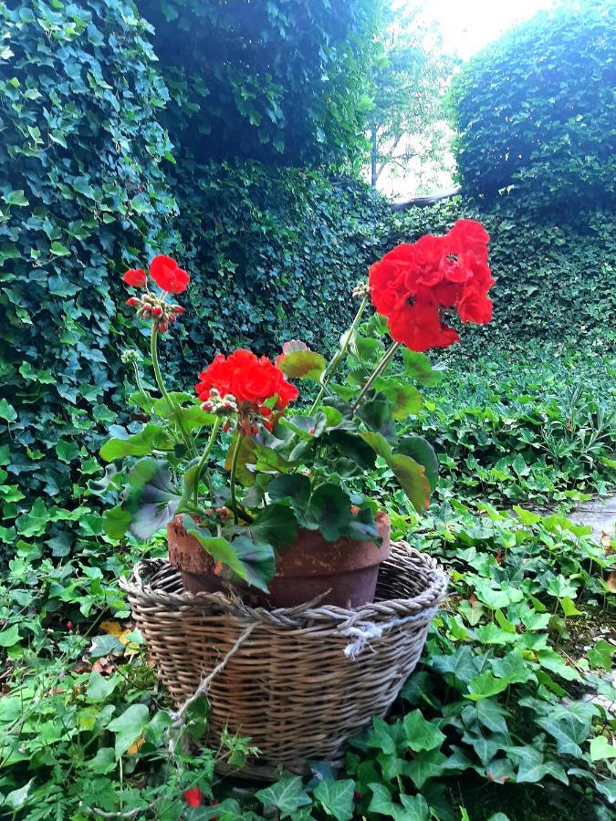 Degli Allori Bed & Breakfast *