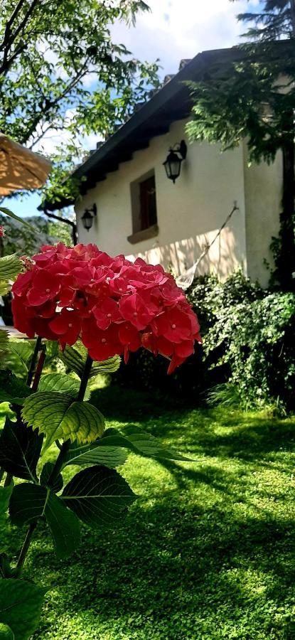 Degli Allori Moggiona