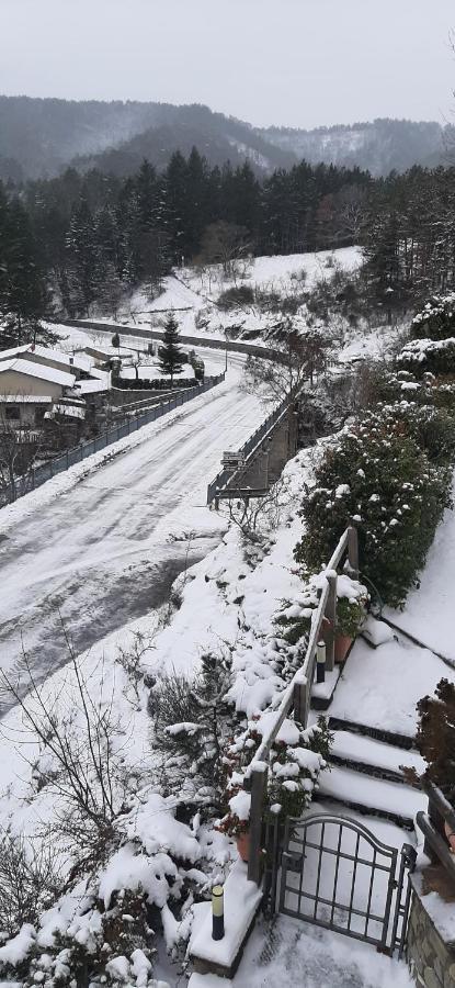 Bed & Breakfast Degli Allori *