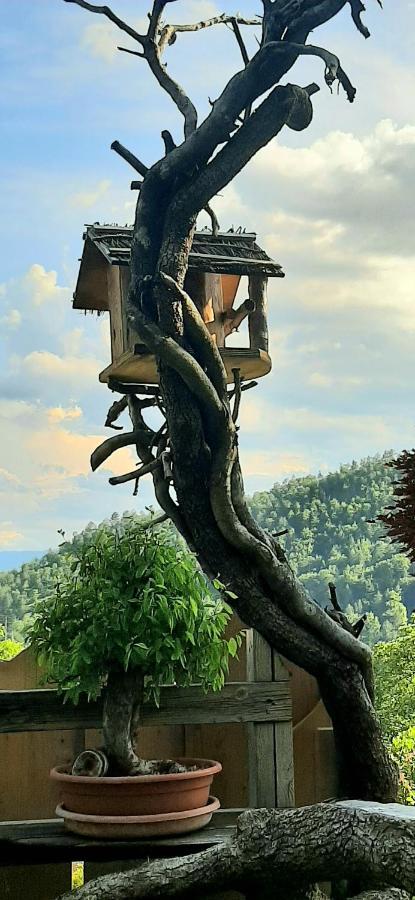 Degli Allori Bed & Breakfast