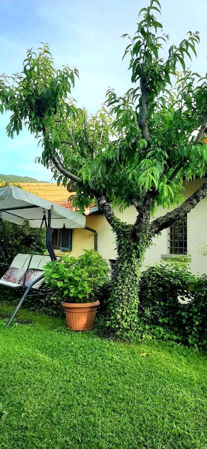 Bed and breakfast Degli Allori