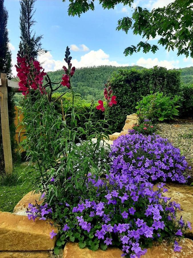 Bed & Breakfast Degli Allori *