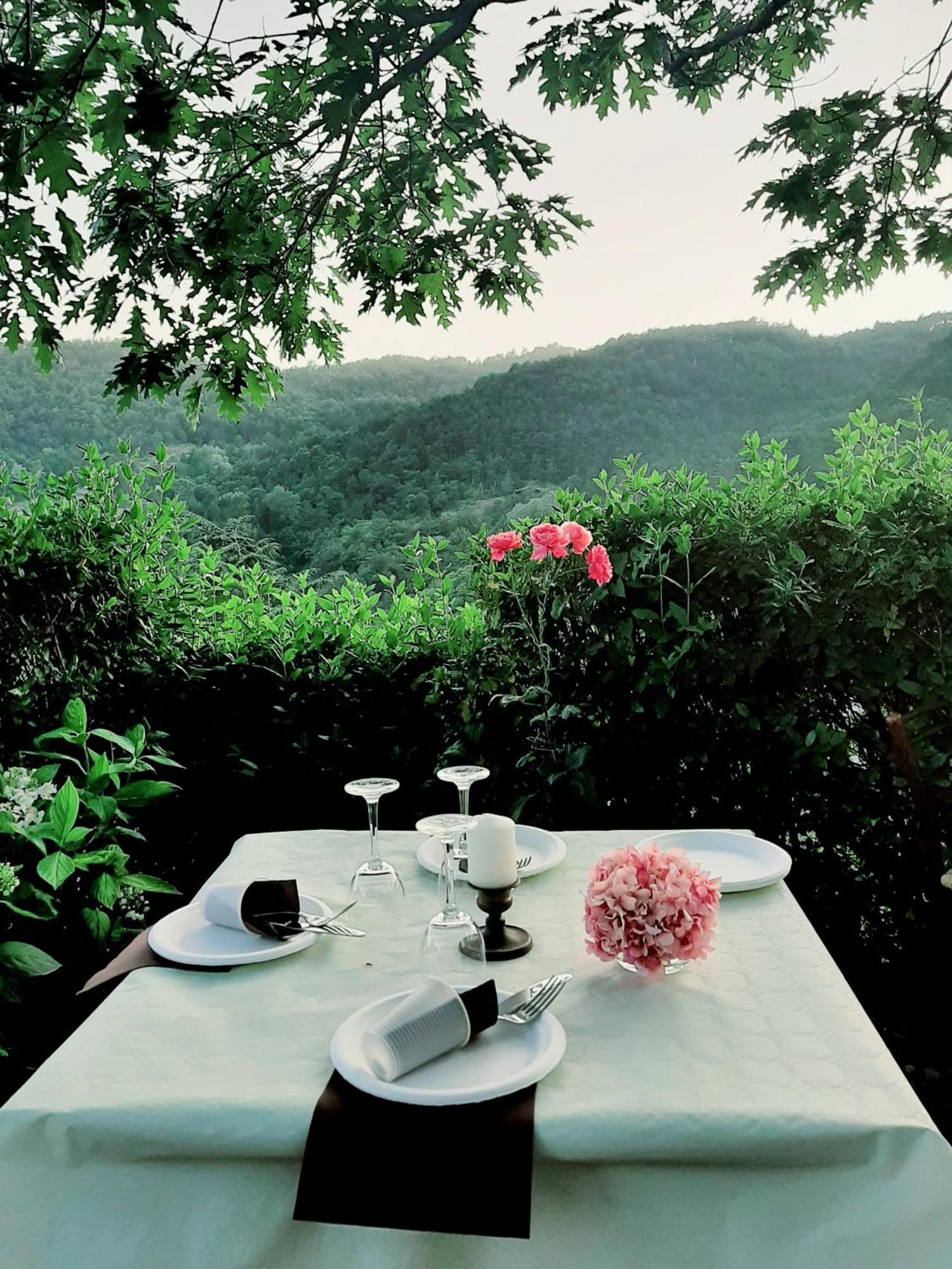 Bed and breakfast Degli Allori Moggiona